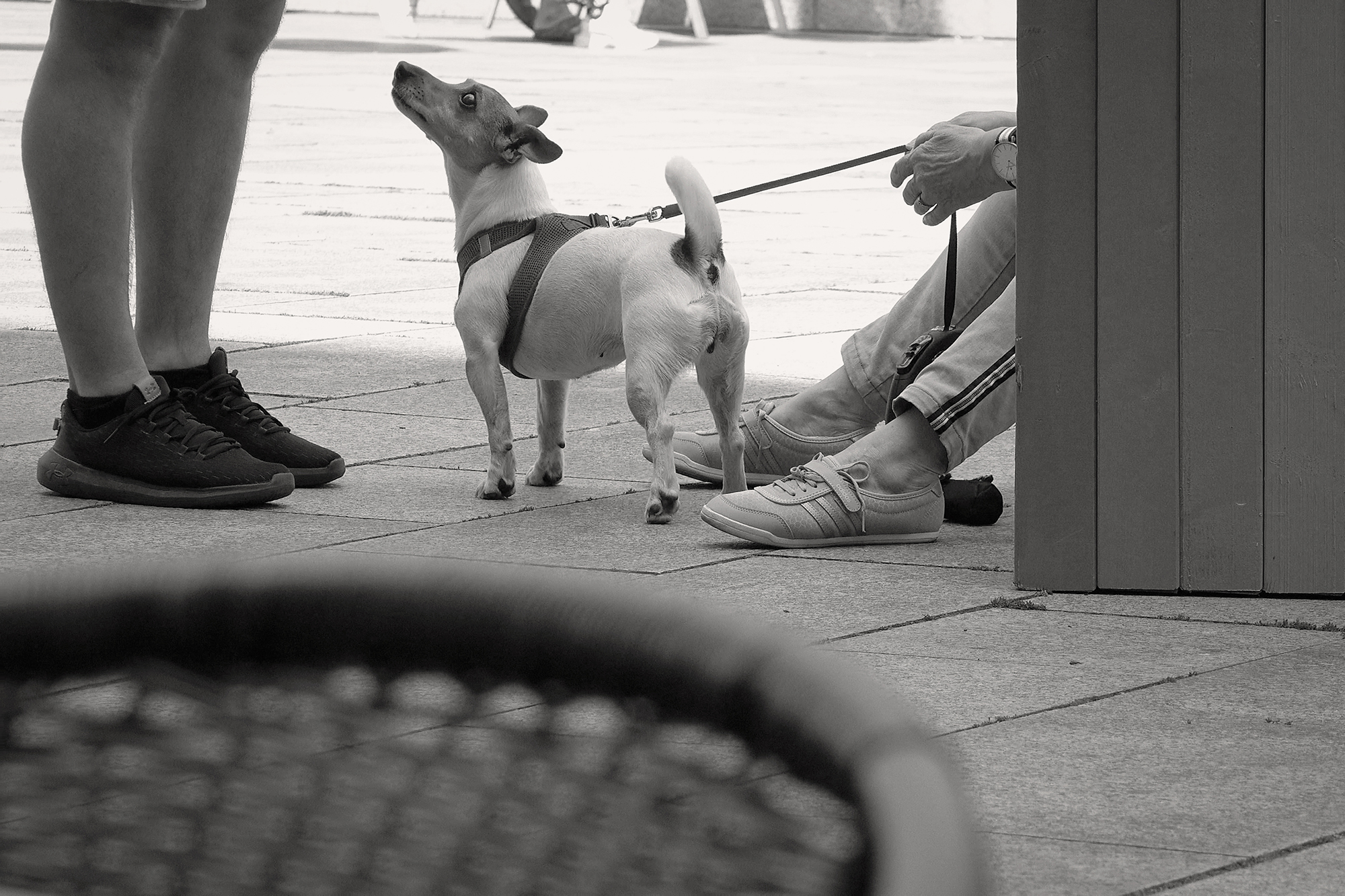 Christoph Radke, Berlin, Walter-Benjamin-Platz, zwei nur teilweise zu sehende Personen mit Hund, 2019